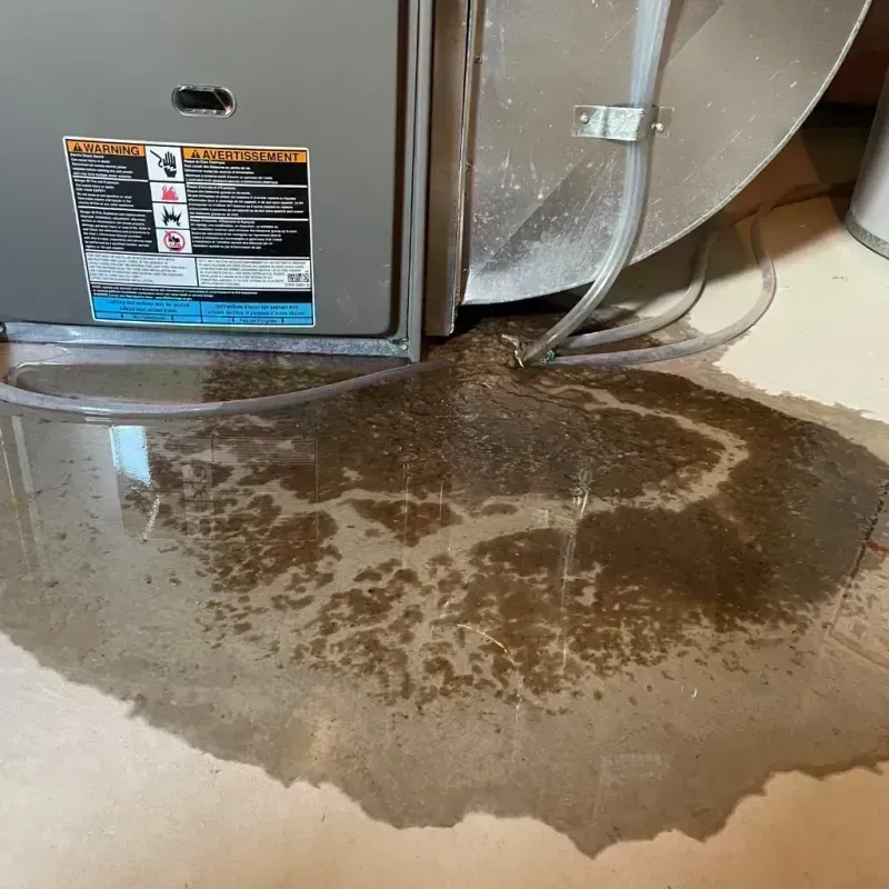 Appliance Leak Cleanup in Bloomfield, MO